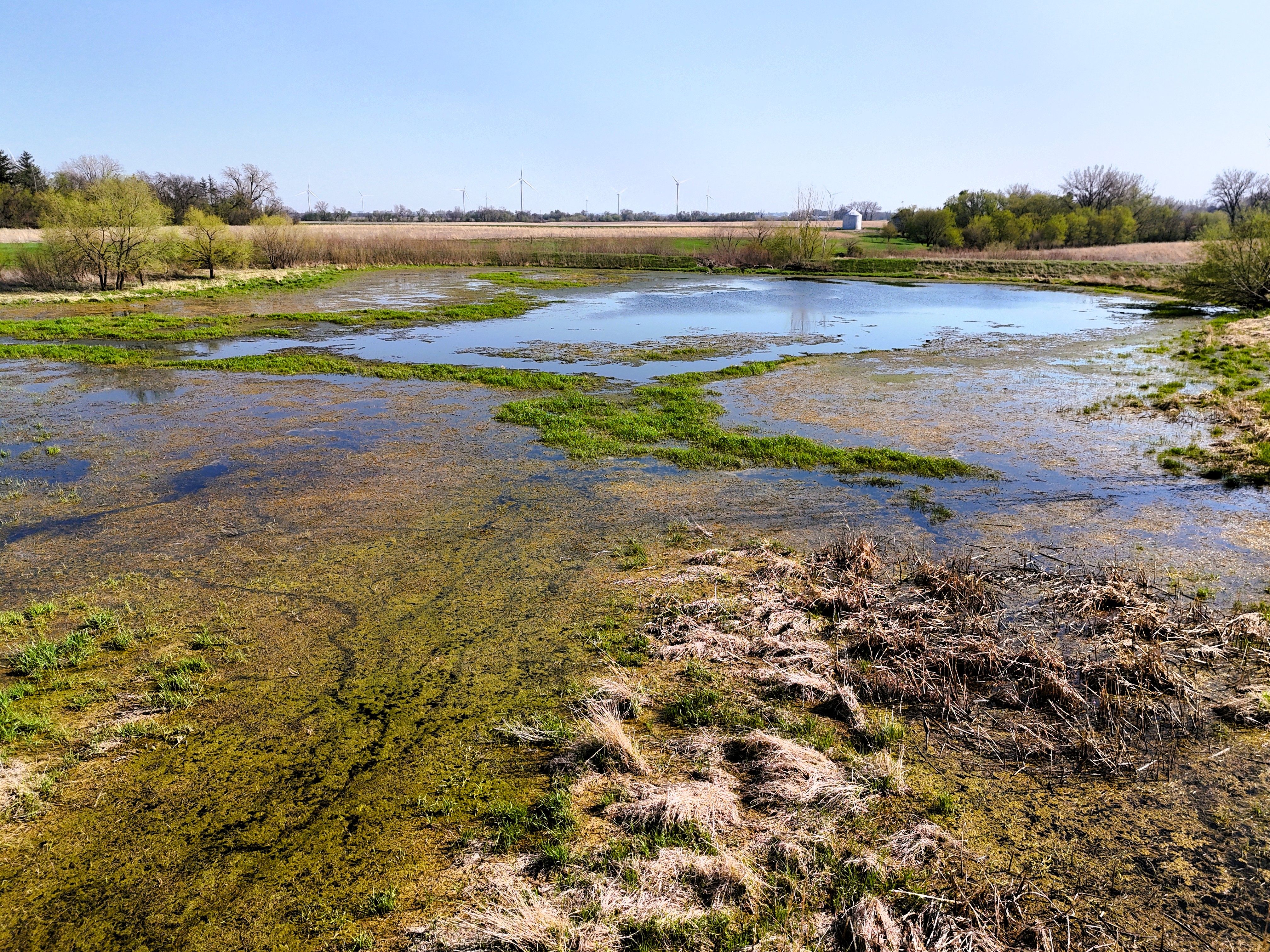 Listing Photo: Pond 11